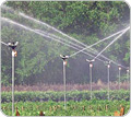Greenhouse Irrigation & Sprinklers - Growers Supply