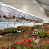 Greenhouse Accessories - Greenhouse Watering - Greenhouse Irrigation Systems