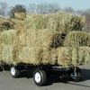 Nursery Carts &amp; Wagons - EZ-Haul Utility Trailer w/ Hitch & Deck