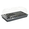 Seed Germination - Hot House Growing System