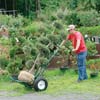 Greenhouse Accessories - Nursery Hand Trucks