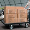 Nursery Handtrucks - EZ-Haul Platform Truck