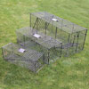 Pest &amp; Rodent Control - Live Animal Trap