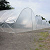 Cold Frames &amp; High Tunnels - ClearSpan High Tunnel Add-A-Bay