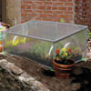 Patio Growhouses - Backyard Hobby Cold Frame 38"L x 22"W