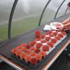 Greenhouse Accessories - Greenhouse Watering - Capillary Mats
