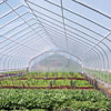 Greenhouse Film &amp; Covering - Greenhouse Films