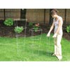 Seed Germination - Tomato Plant Supports