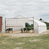 New Products - Premium Moo-Tel